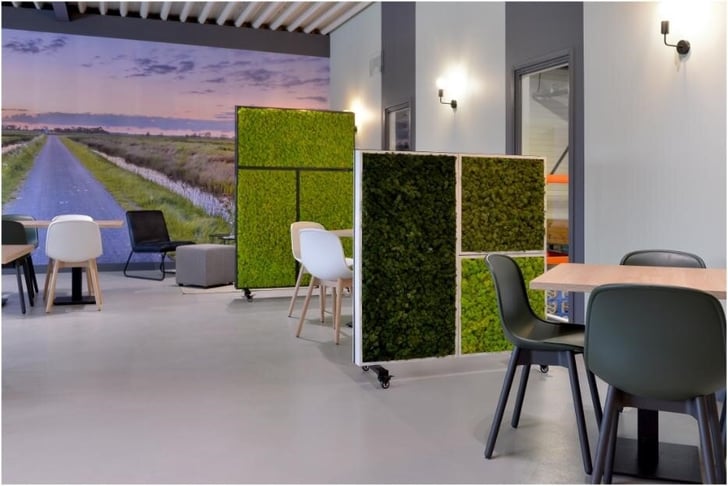 green walls in office. Interior landscaping services | Yellowstone Landscape