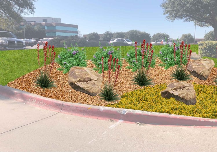 plantas tolerantes a la sequía en el paisaje de propiedades comerciales en Dallas