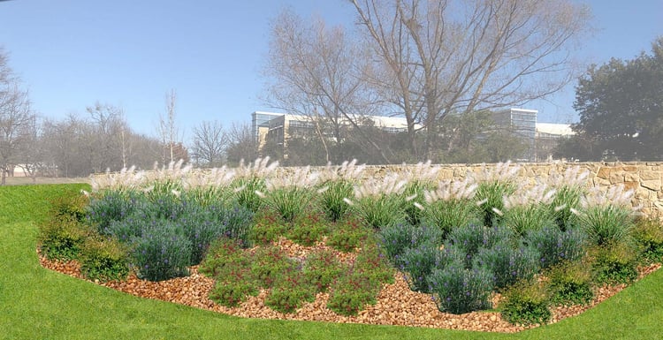  plantes tolérantes à la sécheresse pour le paysage à Dallas 