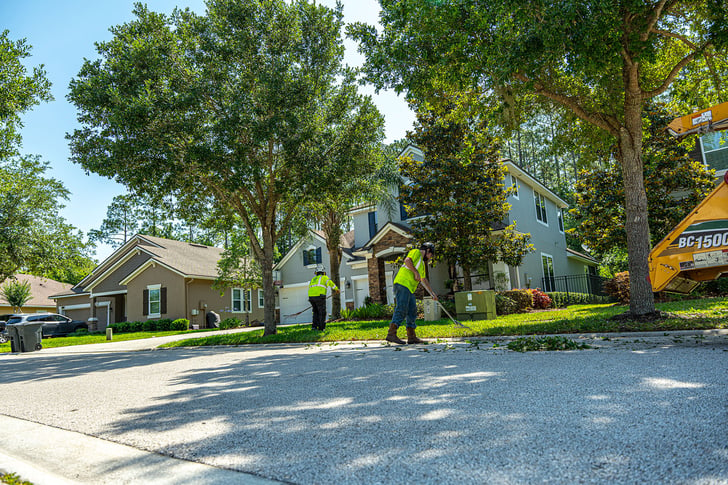 commercial tree care company | Yellowstone Landscape