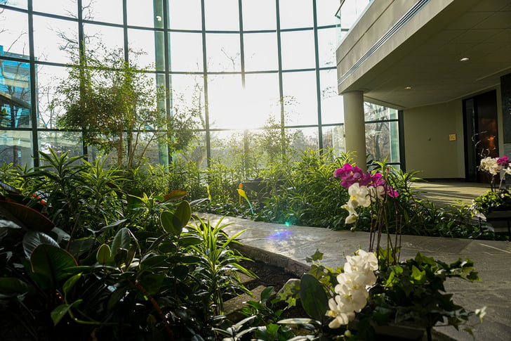 Lush Green Relaxation Area 