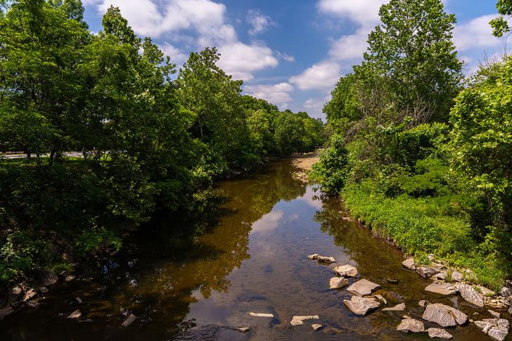 natural stream in woods | Commercial Landscaping Yellowstone Landscape