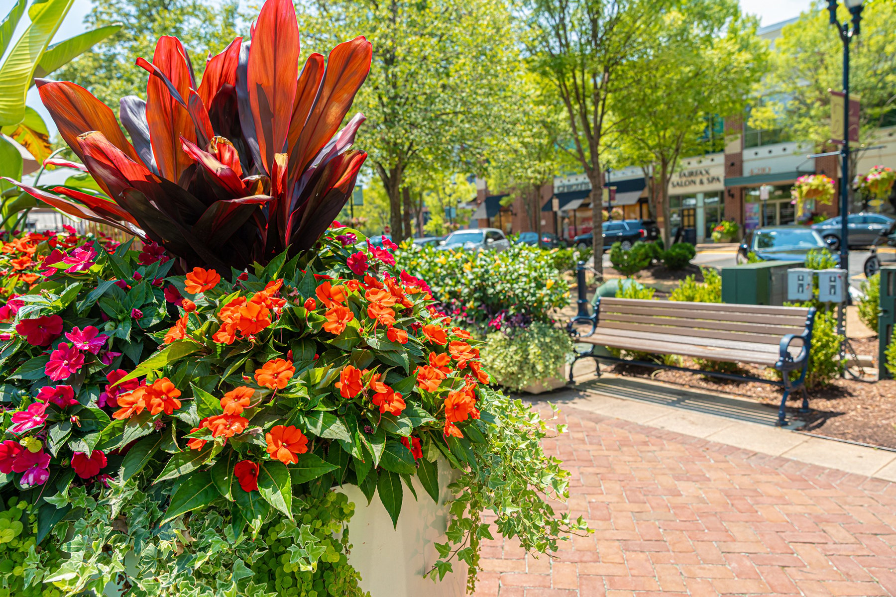 Multi - Colored, bright flowers in planters by Denver's Trusted Landscape Designers