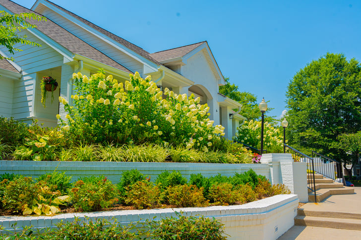 Hydrangeas in White Raised Garden Beds | Commercial Landscaping Ideas  