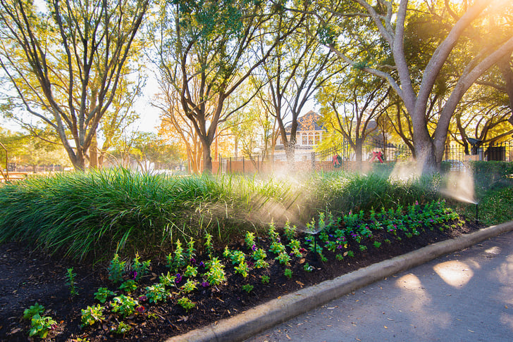 Irrigation-mist-sun-trees