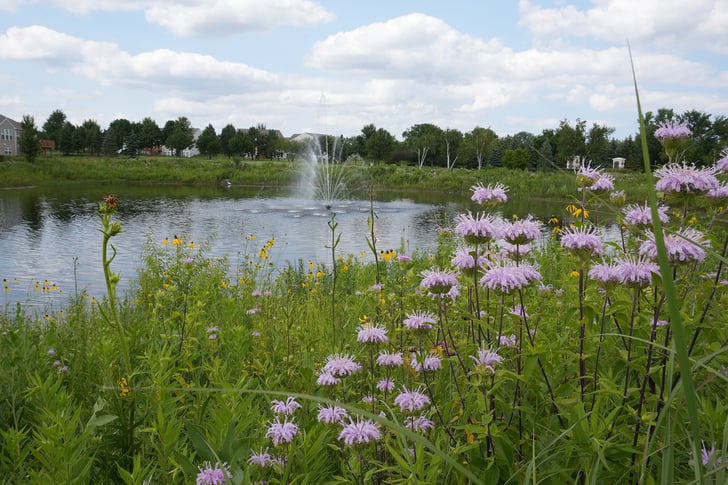 natural landscaping for seniors