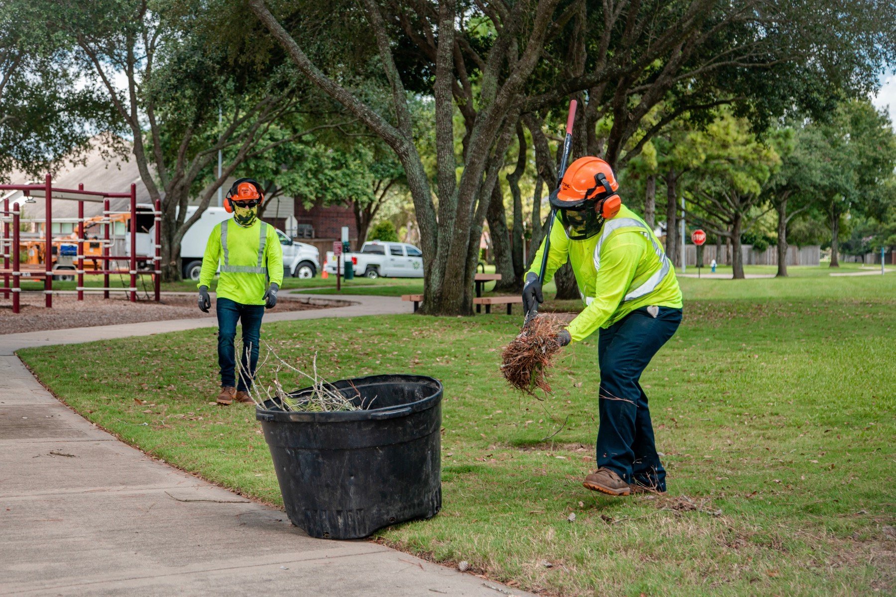 commercial tree service crew clean up