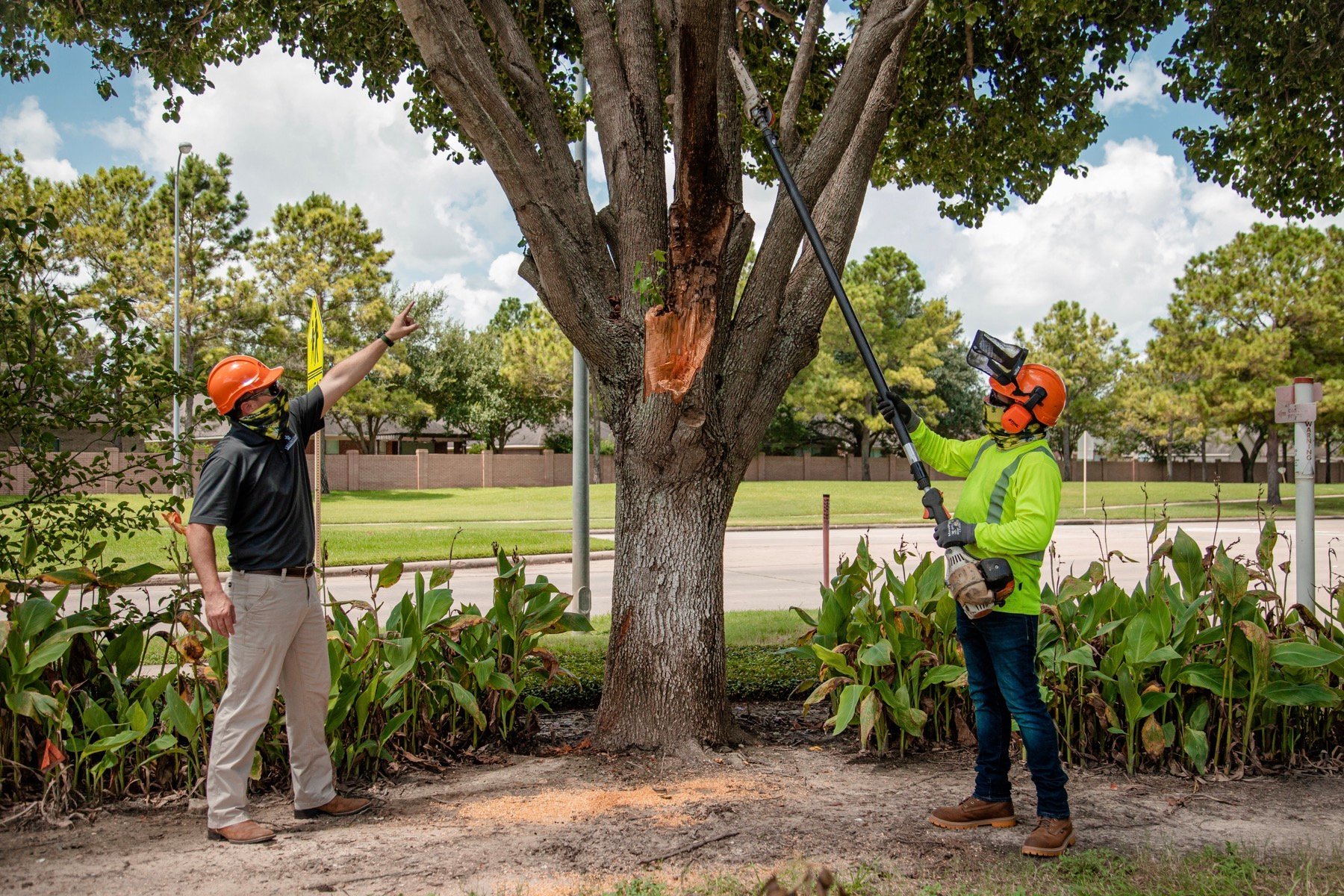 commercial tree service crew pole saw