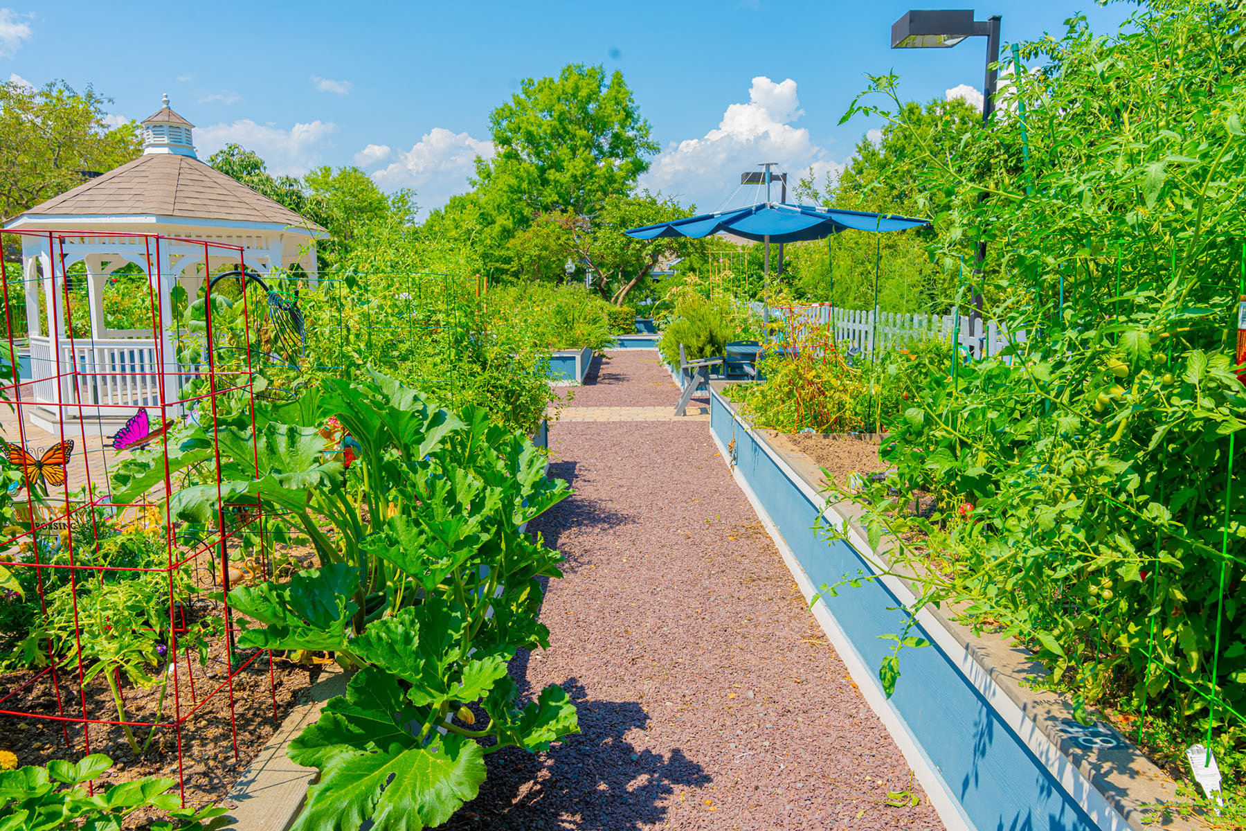 Community Garden | Commercial Landscaping Yellowstone Landscape