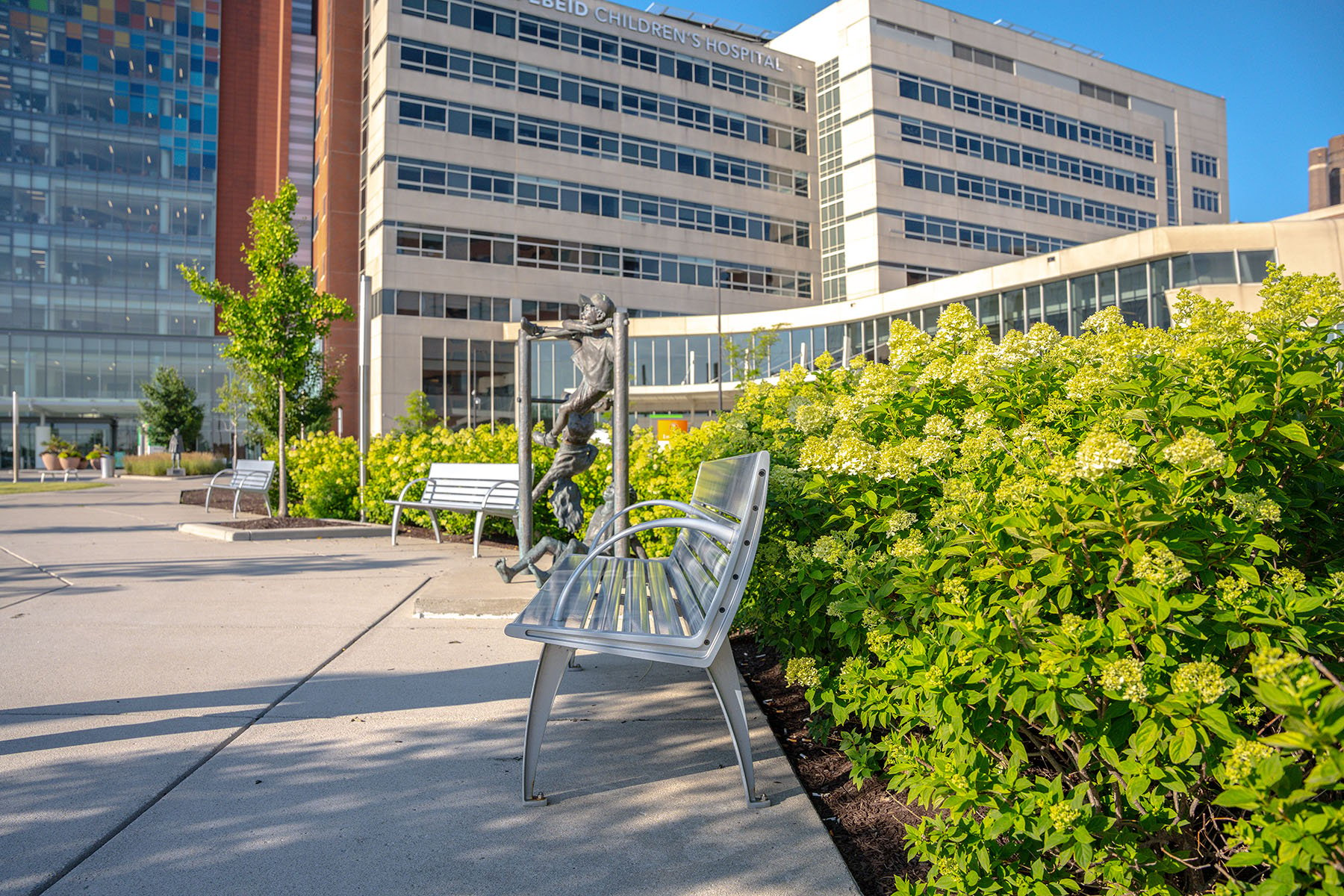 Bench on walkway surrounded by beautiful flowers. Example of commercial landscape design.