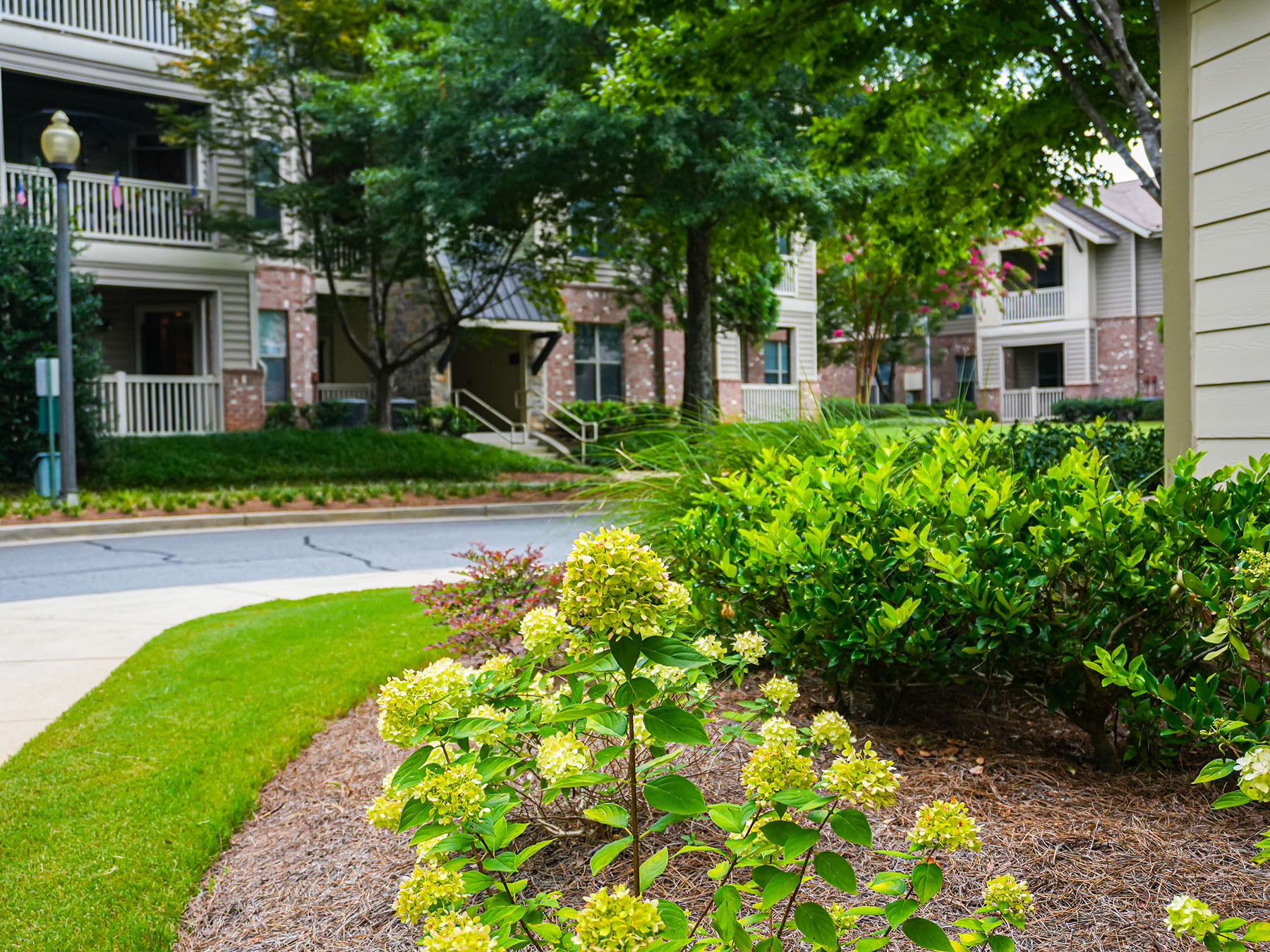 Commercial Landscaping in Georgia at Apartments