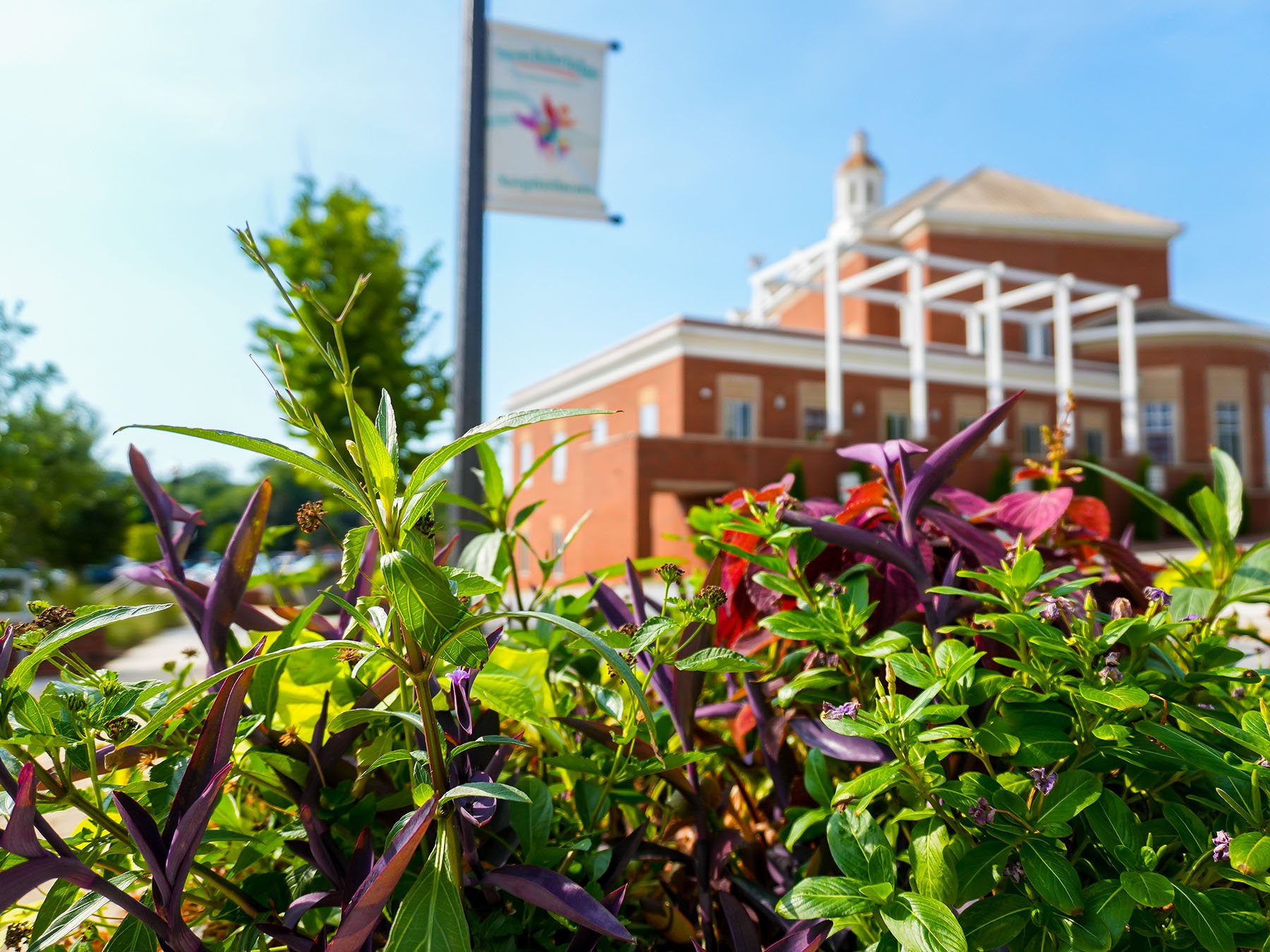 Lush Landscaping in front of city amphitheater | Landscaping for Municipalities 