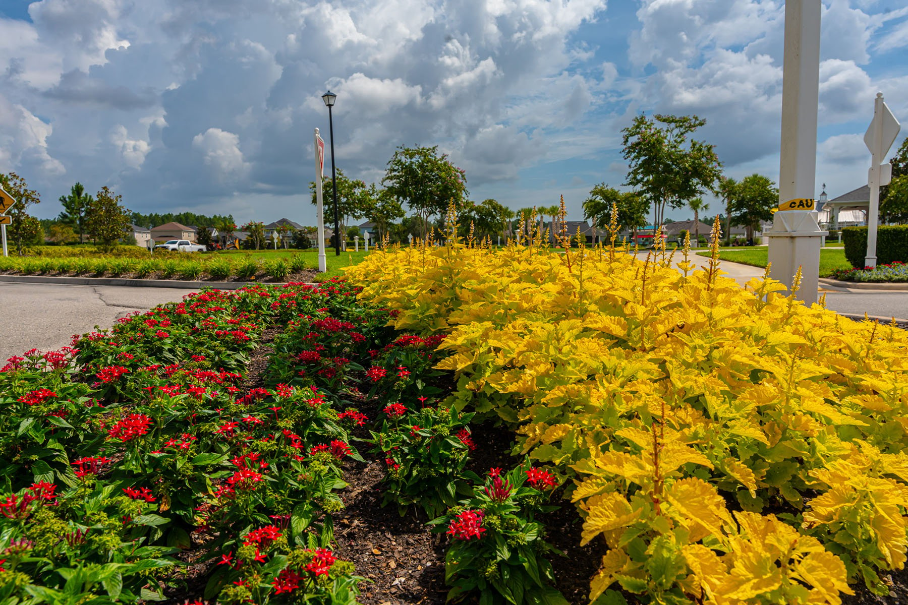 landscape beds with bright flowers 