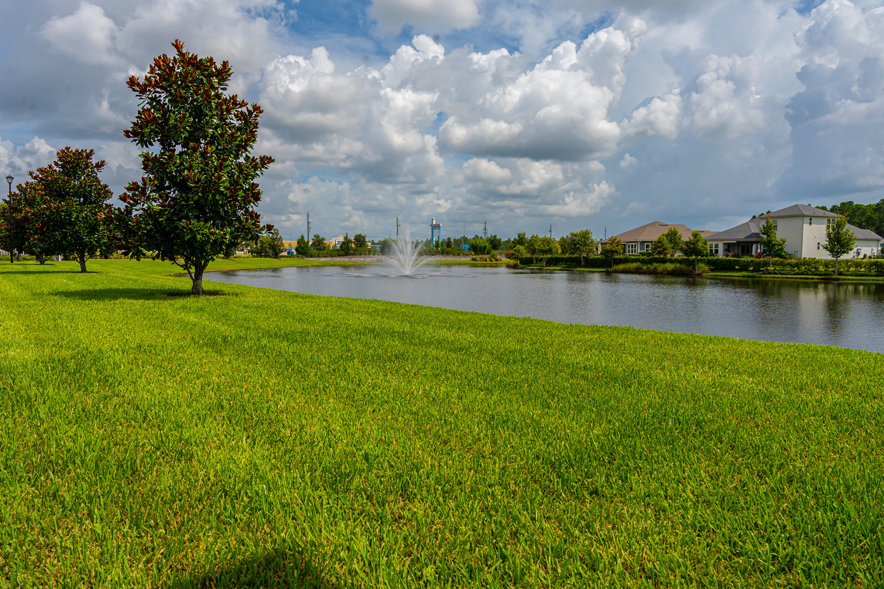 Green Turf near water. Landscape maintenance in St Augstine, FL. 