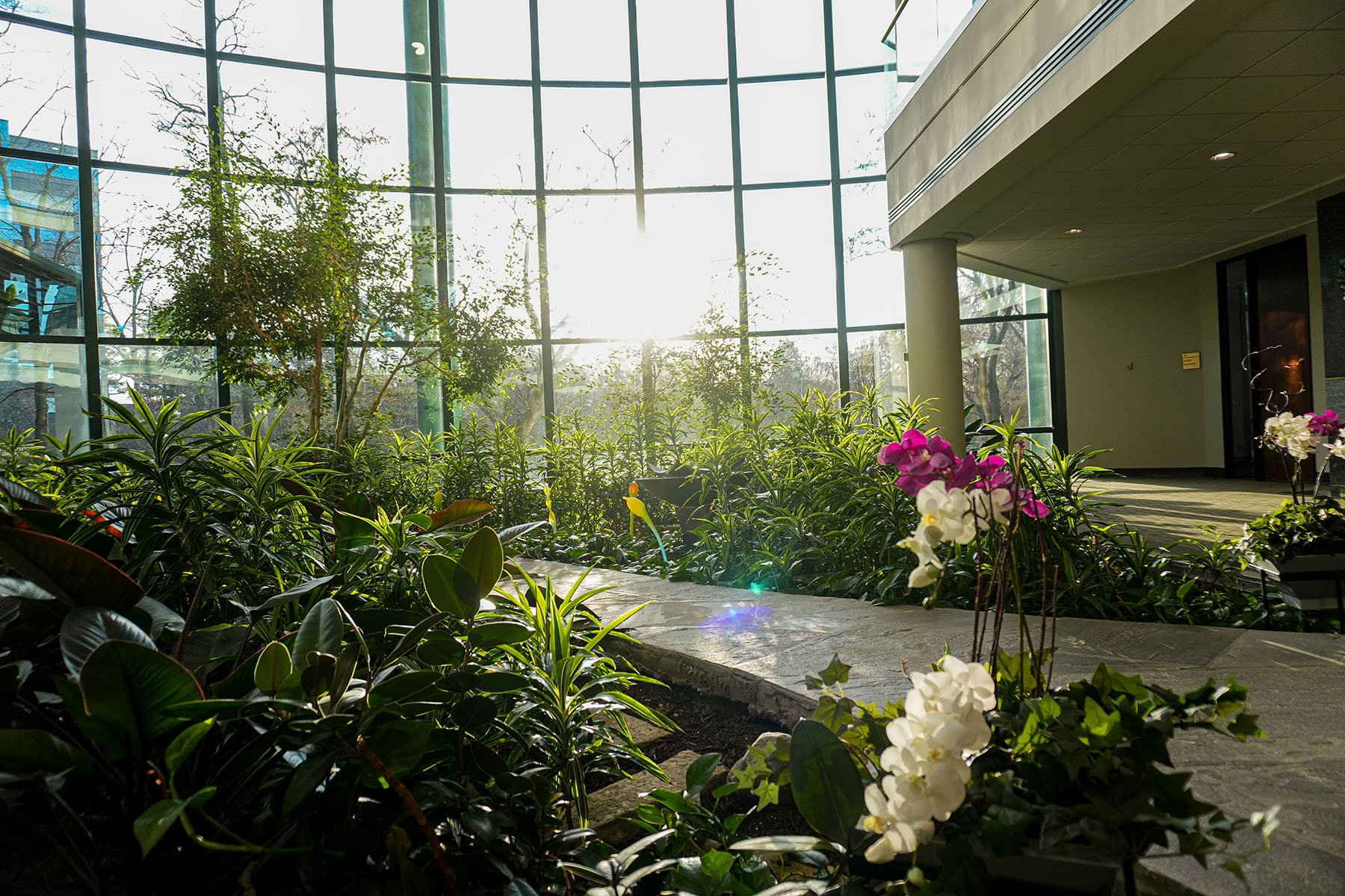 Relaxing Interior Plants 