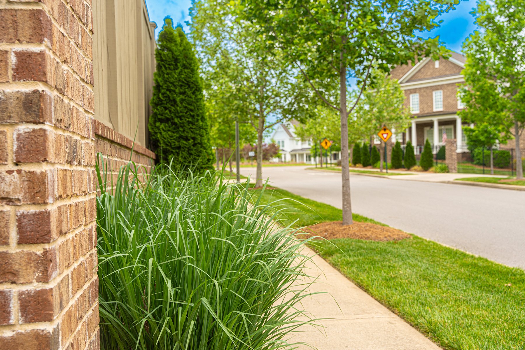 Green Grasses by Sidewalk, Commercial Landscaping Nashville, TN