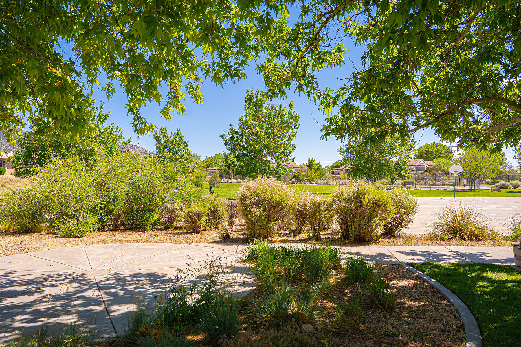 Albuquerque Park in HOA Community | Yellowstone Landscape 