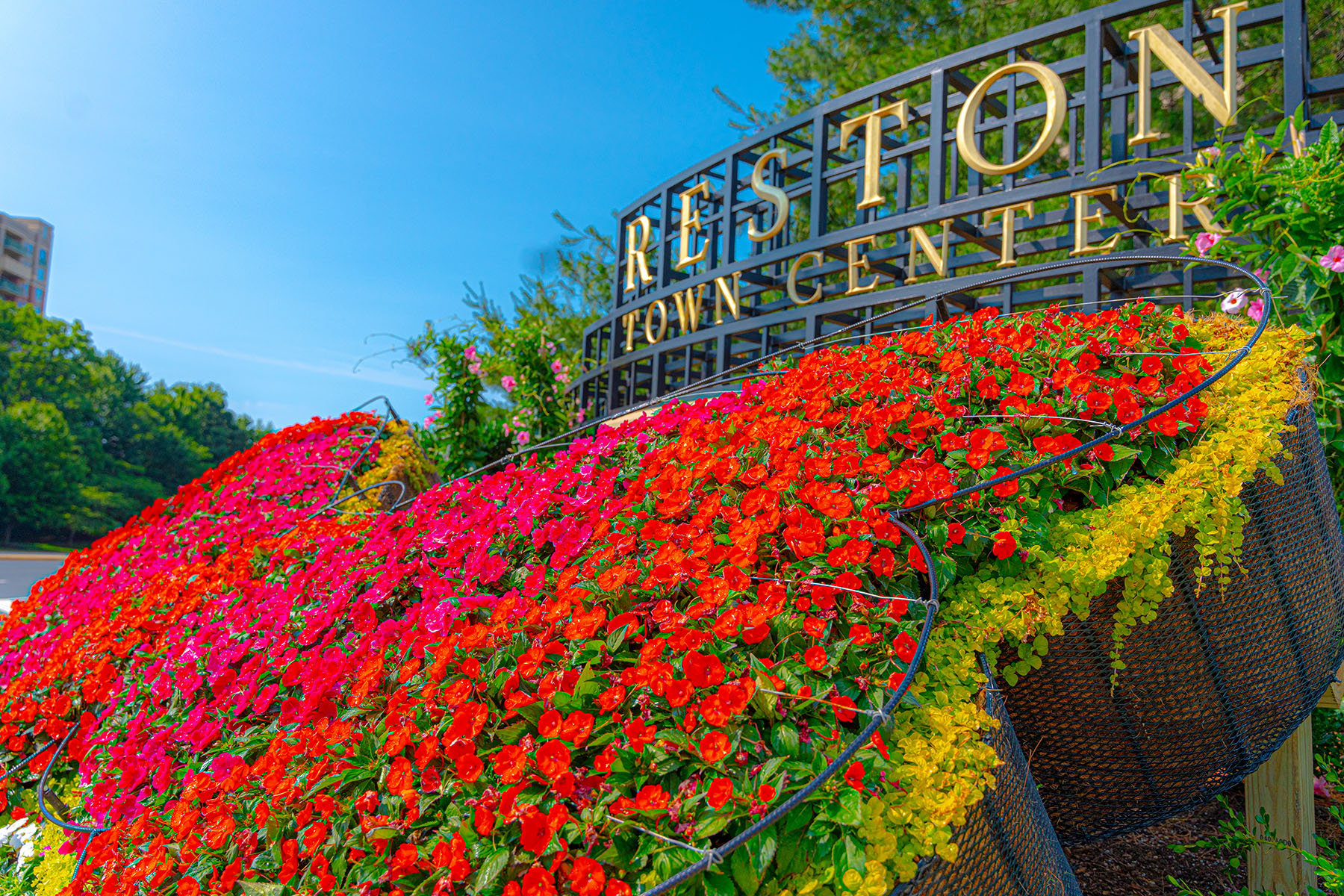 Colorful Butterfly Landscape Design | Yellowstone Landscape 