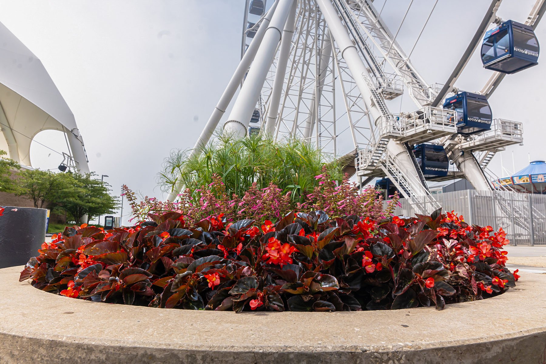 Garden Bed Design, Navy Pier Photos | Yellowstone Landscape