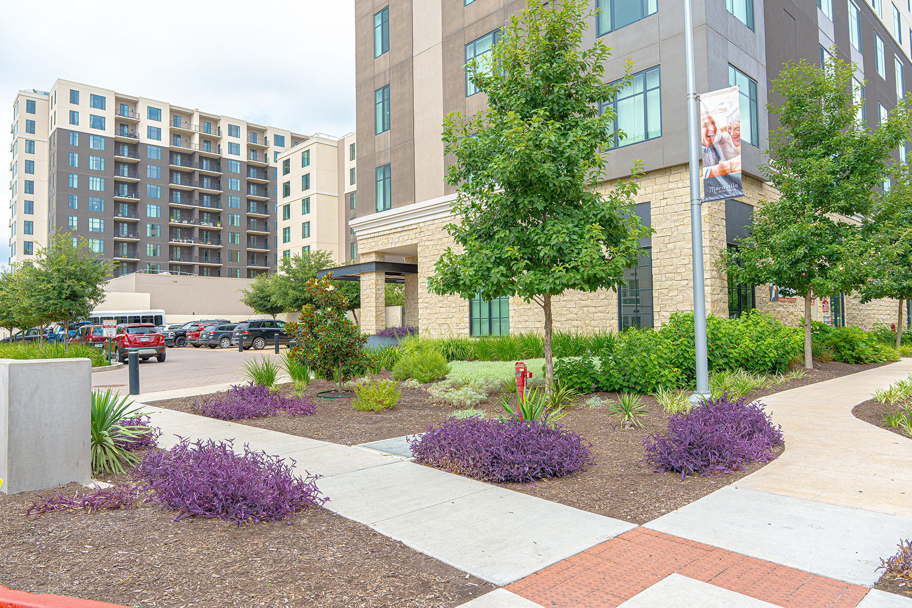 purple flowers, example of commercial landscaping | yellowstone landscape