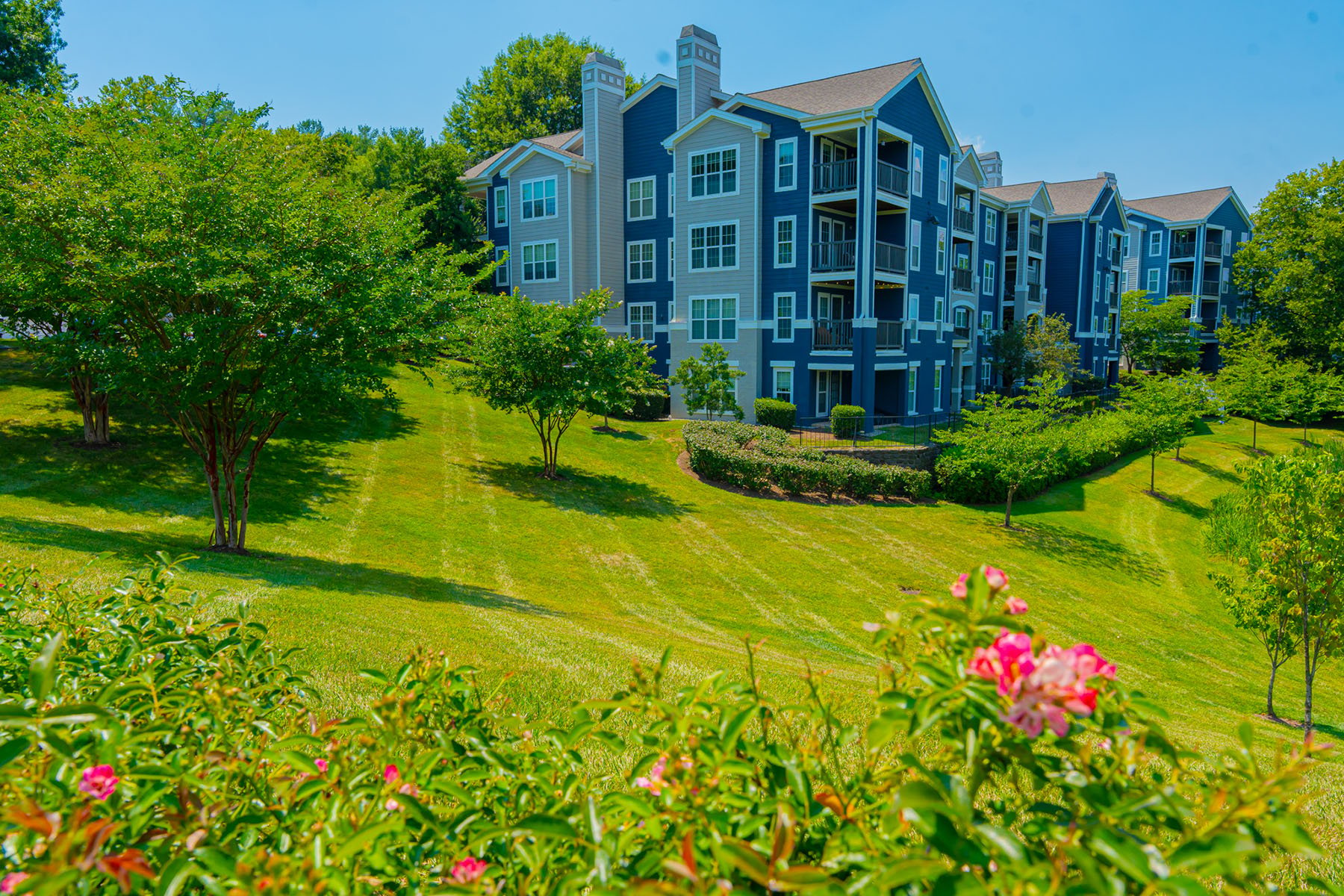 Green Lawn, Trees and Flowers around blue apartment building. Commercial Landscaping for Multi Family Complexes