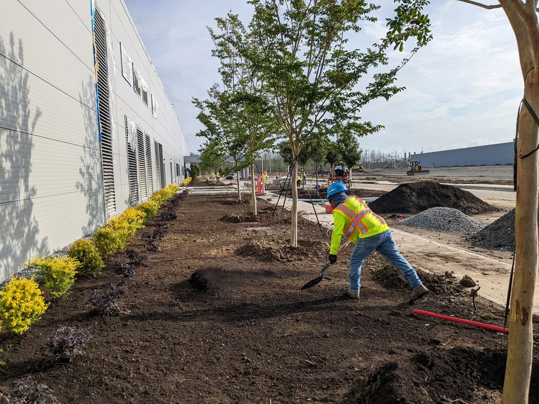 plant installation outside commercial plant | yellowstone landscape