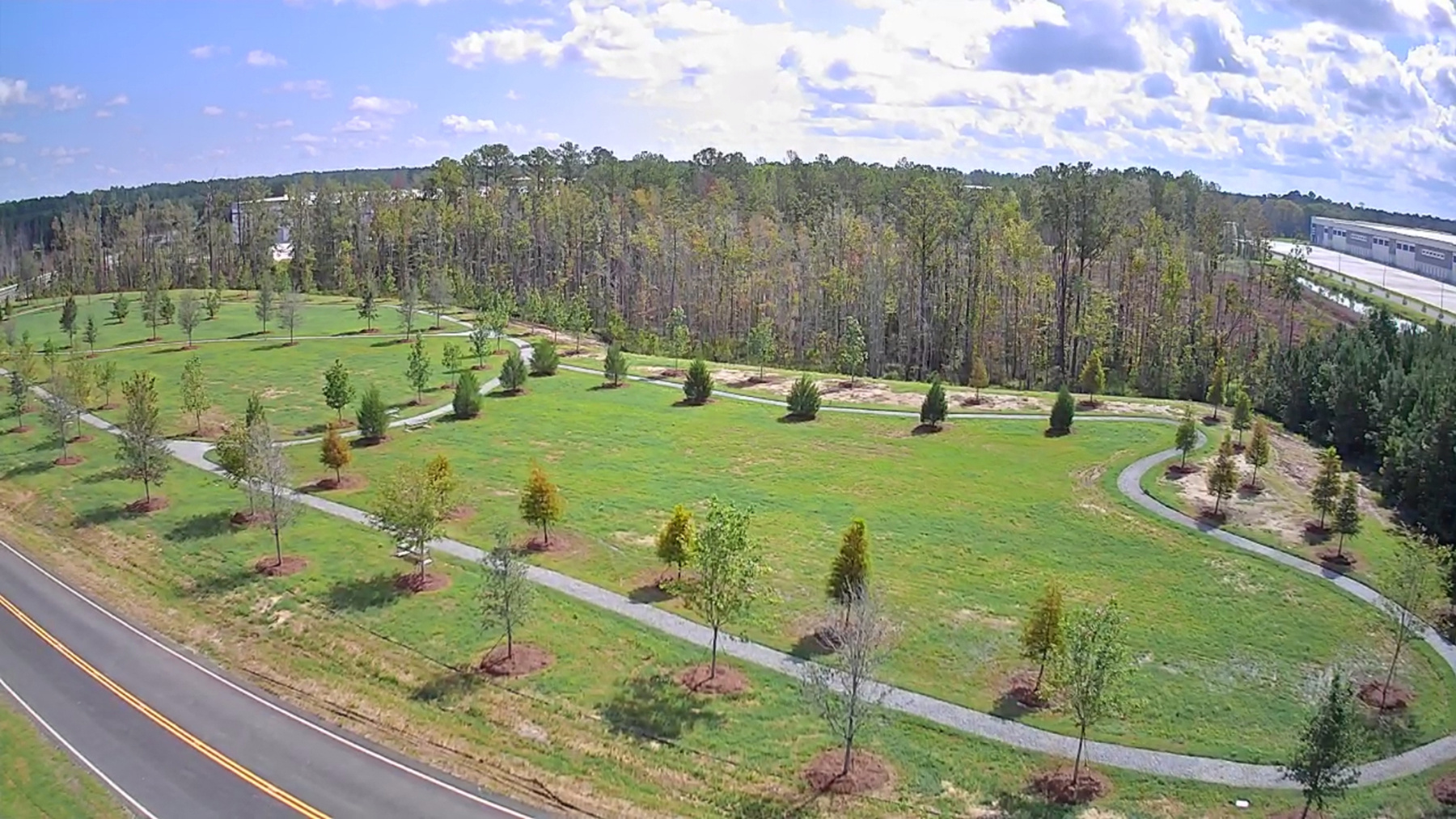 Newly Installed Trees | Commercial landscape services GA 