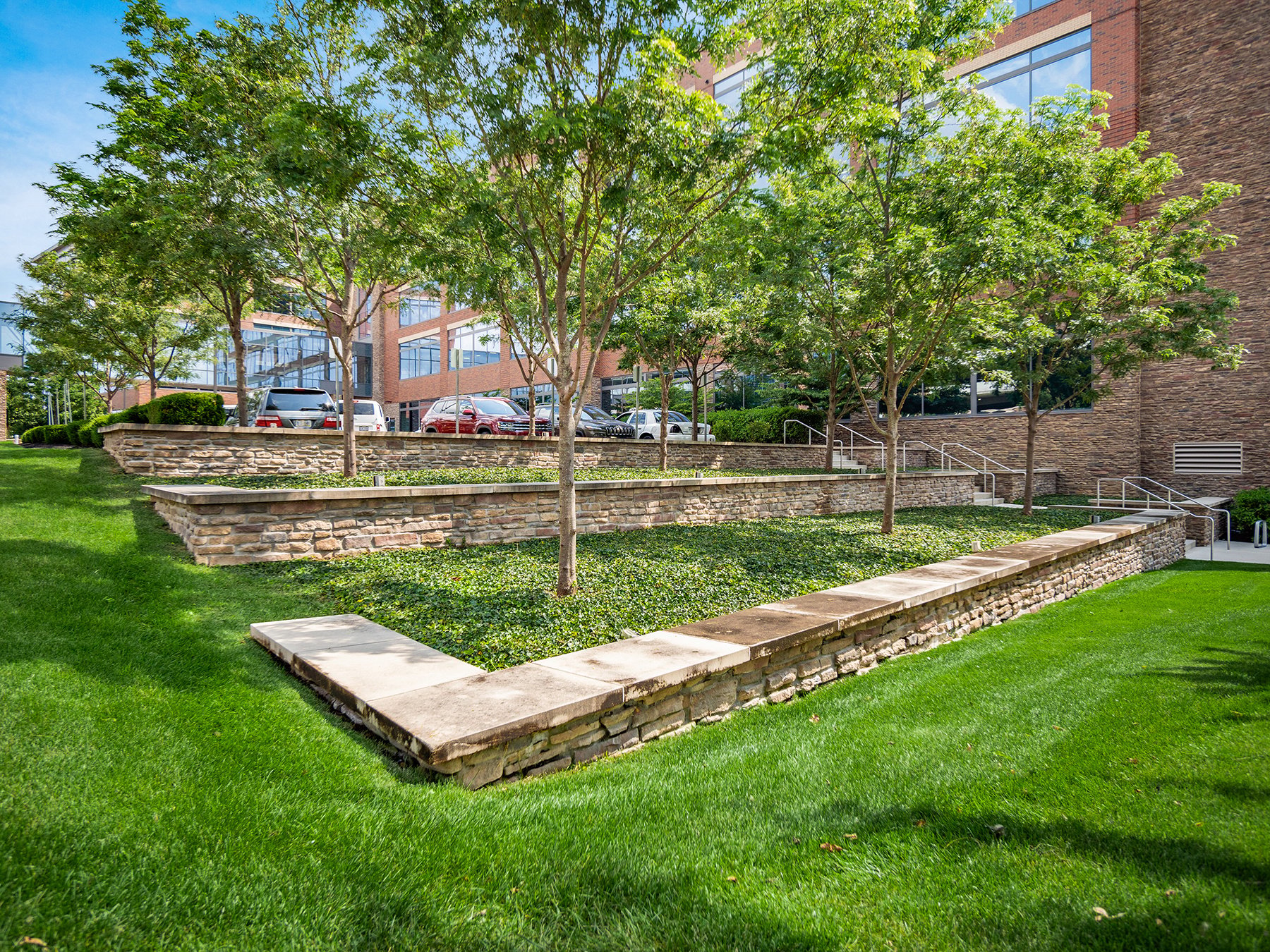 Trees and grass planted in rows | Example of Office Landscape Design