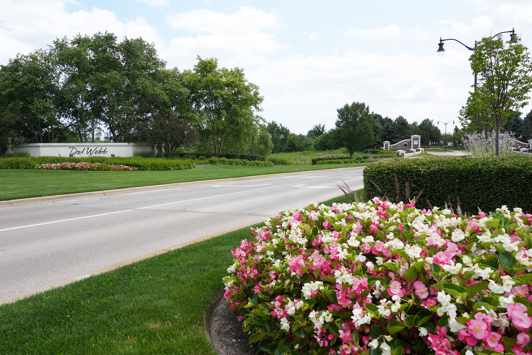 Colorful Flowers near HOA Monument Sign | Commercial Landscaping 