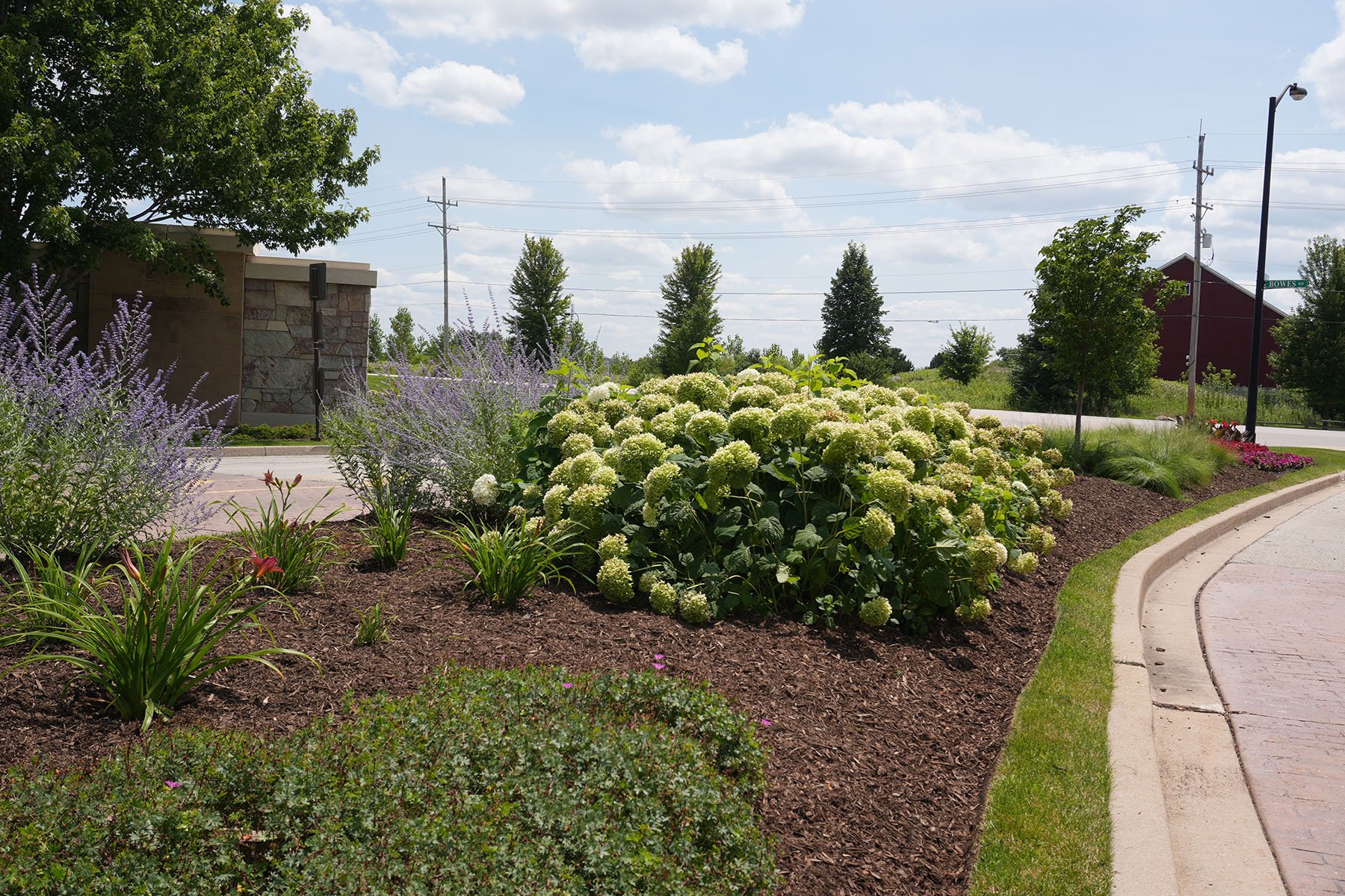 example of hoa landscape maintenance