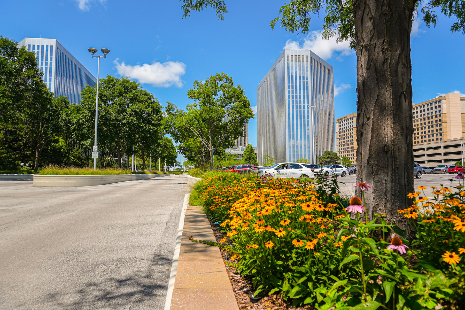 Parking Island Flowers in Industrial Park | Chicago Commercial Landscaping 