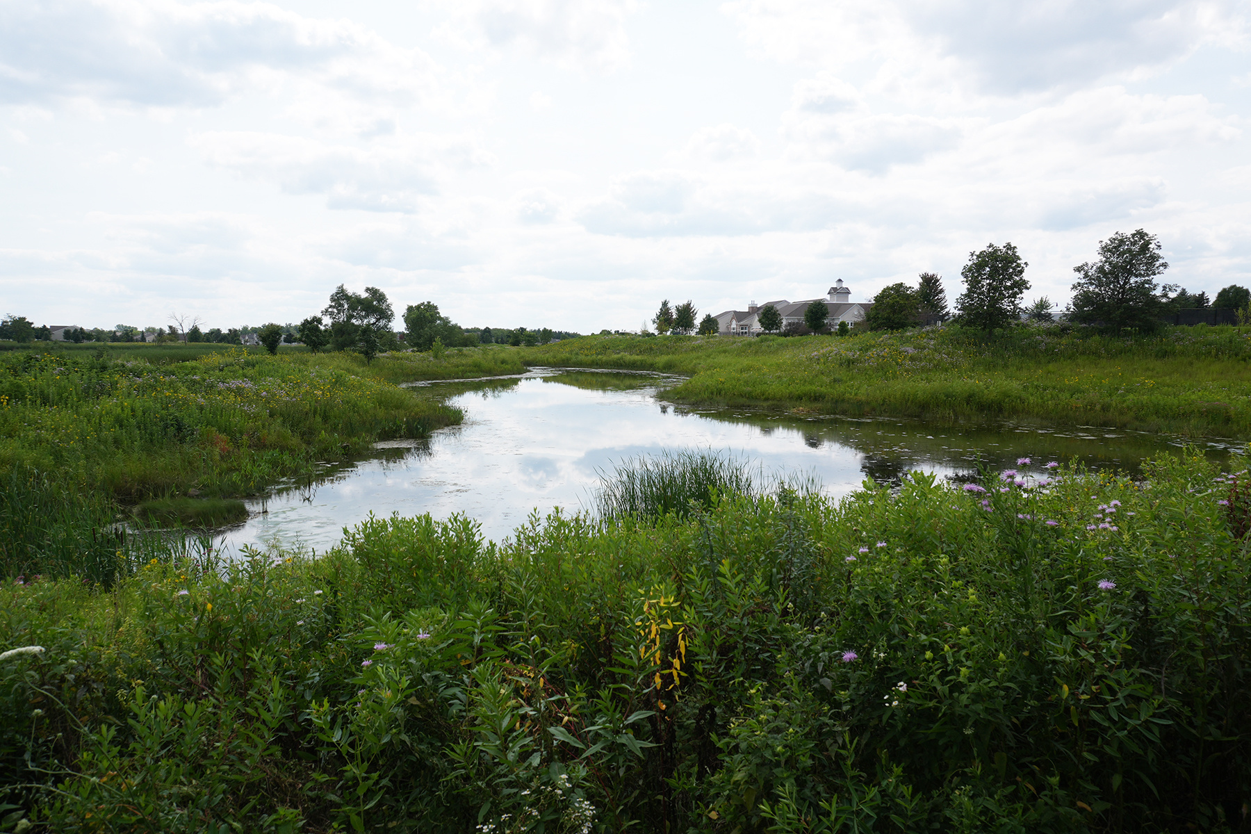 Natural Landscape Near Pond | Yellowstone Landscape