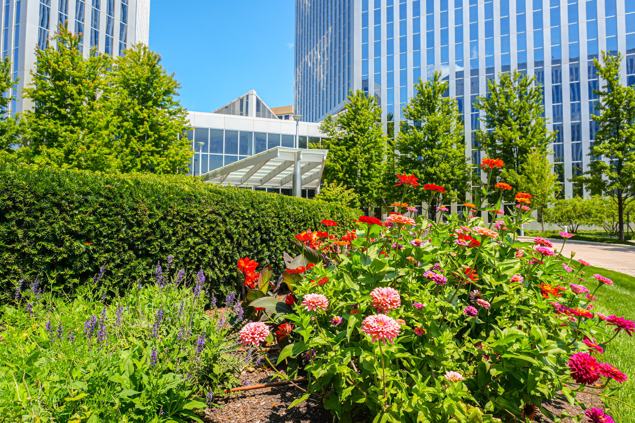 Bright Landscape Bed Design | Urban Landscaping in Chicago, IL 