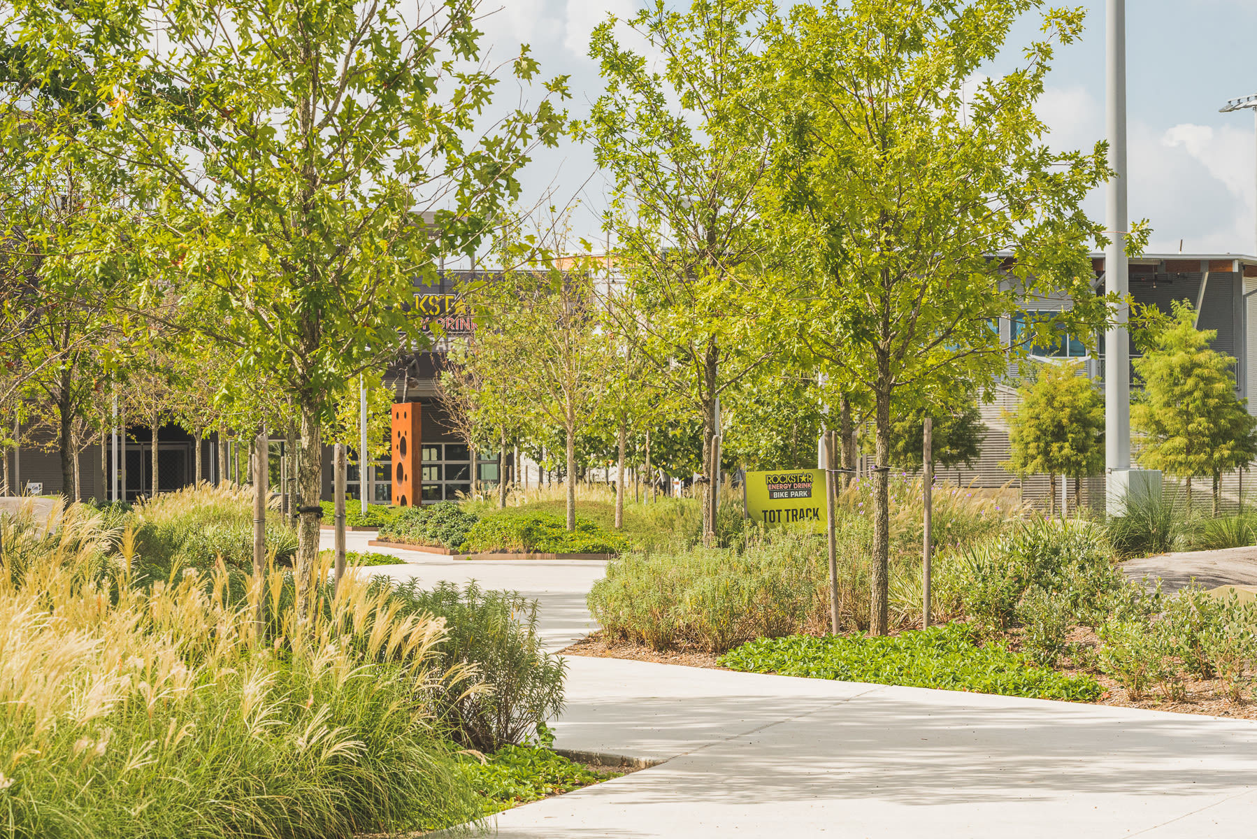 walkway lined with landscaping