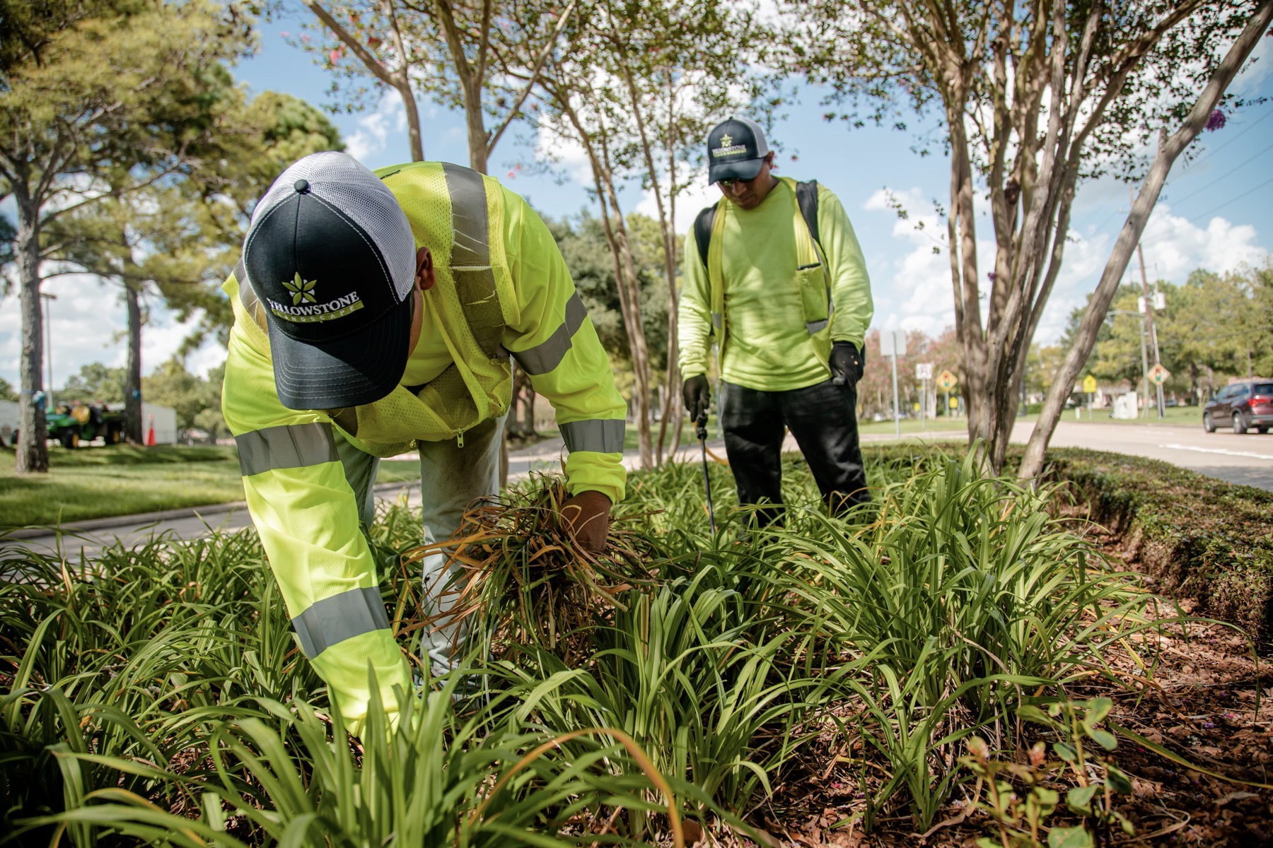 Weeding Service | Commercial Landscape Maintenance Contract 